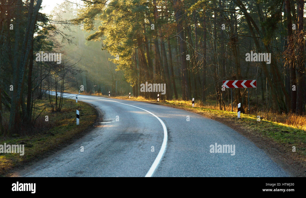 La strada attraverso la foresta, i raggi del sole rottura attraverso gli alberi Foto Stock