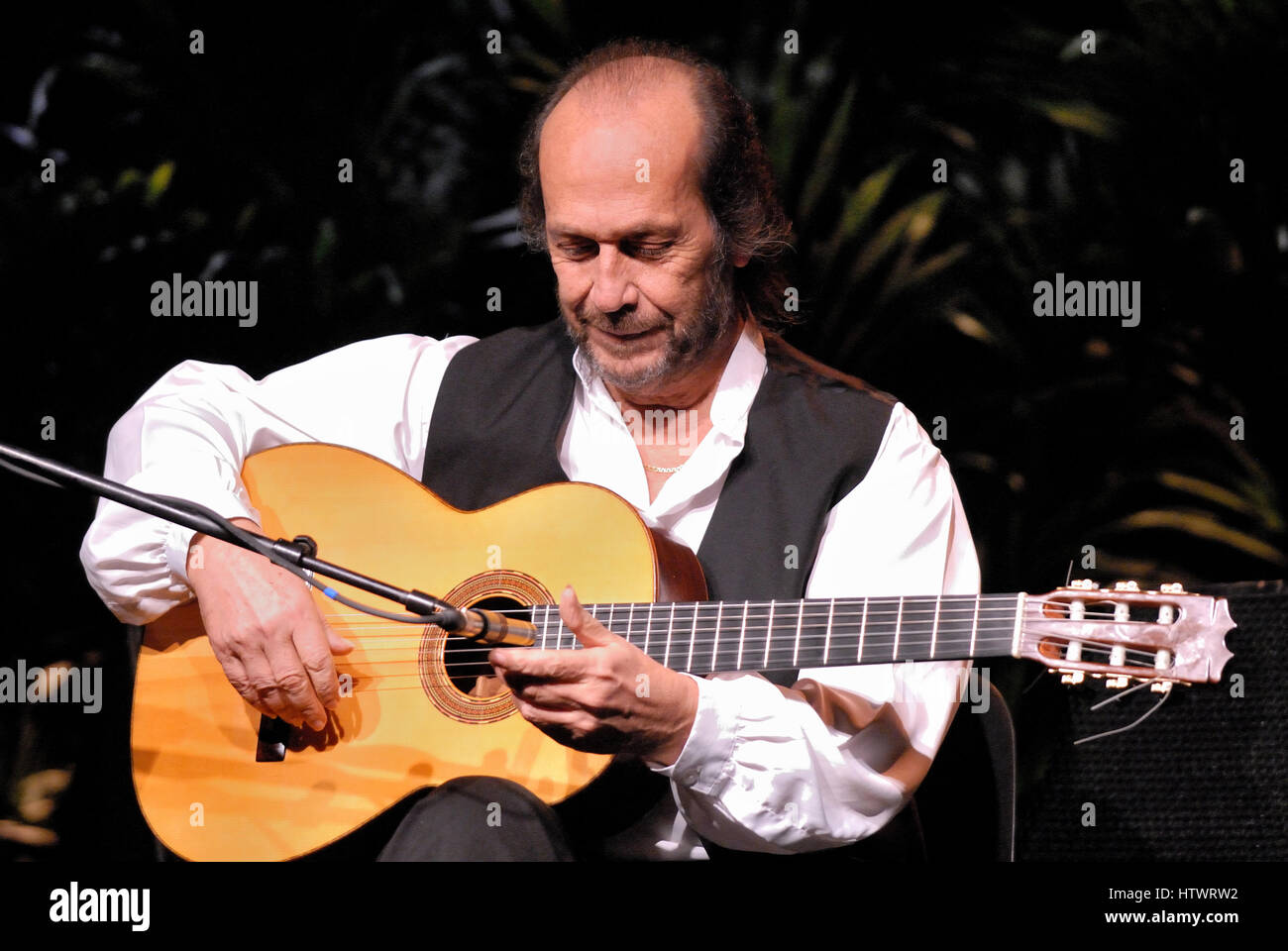 Paco de Lucia, concerto, flamenco, gitarre, gitarristo, Chitarra, jazz, PACO  DE LUCIA, musica, concerto, spagnolo, Flamenco, foto Kazimierz Jurewicz  Foto stock - Alamy