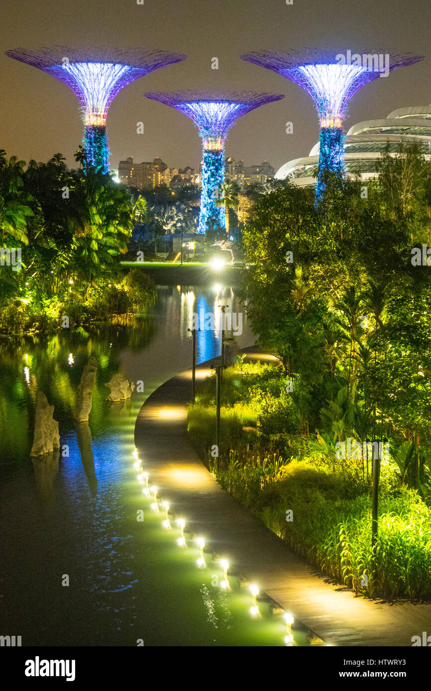 Tree-come le strutture chiamate supertrees che sono i giardini verticali, situato in giardini dalla baia di Marina Bay, Singapore. Foto Stock