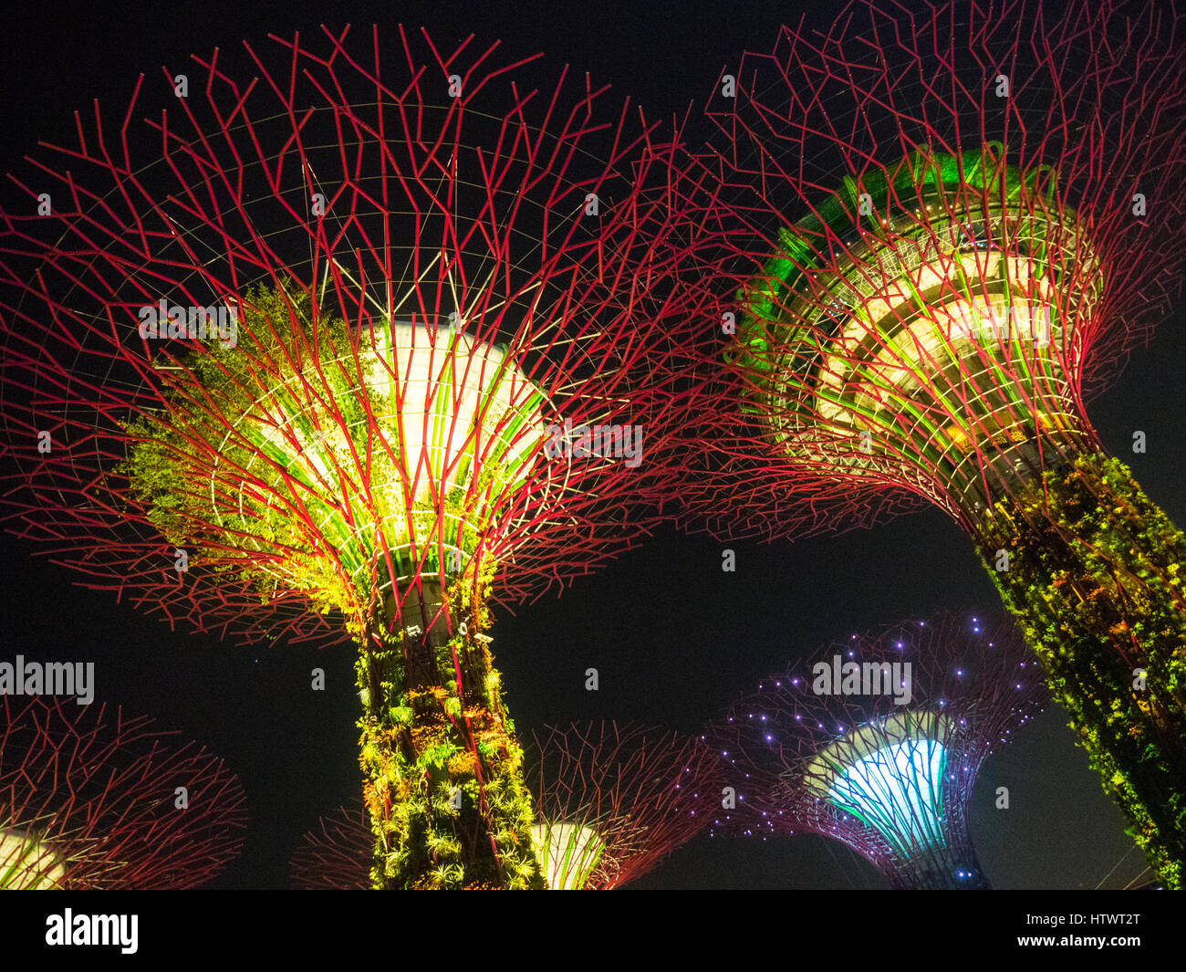 Tree-come le strutture chiamate supertrees che sono i giardini verticali, illuminata di notte, situato in giardini dalla baia di Marina Bay, Singapore. Foto Stock