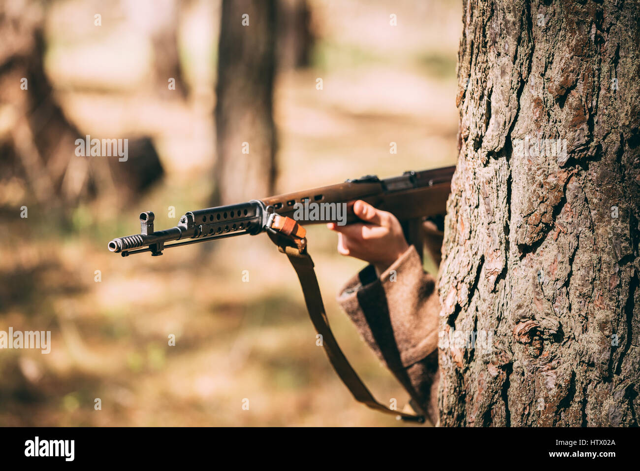 Ri-enactor vestito come Soviet russo Soldato di fanteria della II Guerra Mondiale nascosto con un fucile arma in un agguato nei pressi di albero nella foresta. Chiudere fino a Ri sovietica Foto Stock
