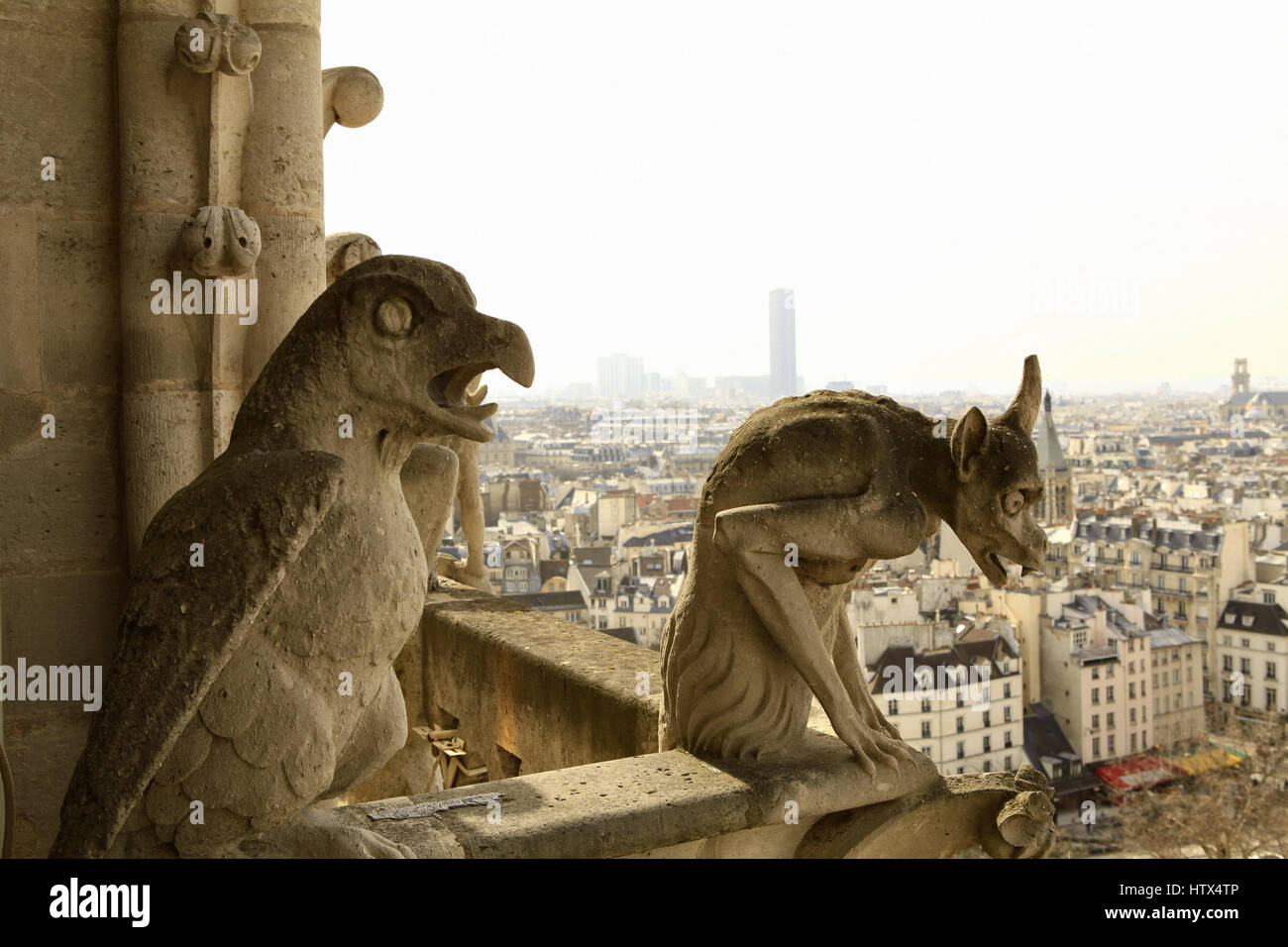 Gargoyle sul tetto della cattedrale di Notre Dame di Parigi, Francia Foto Stock