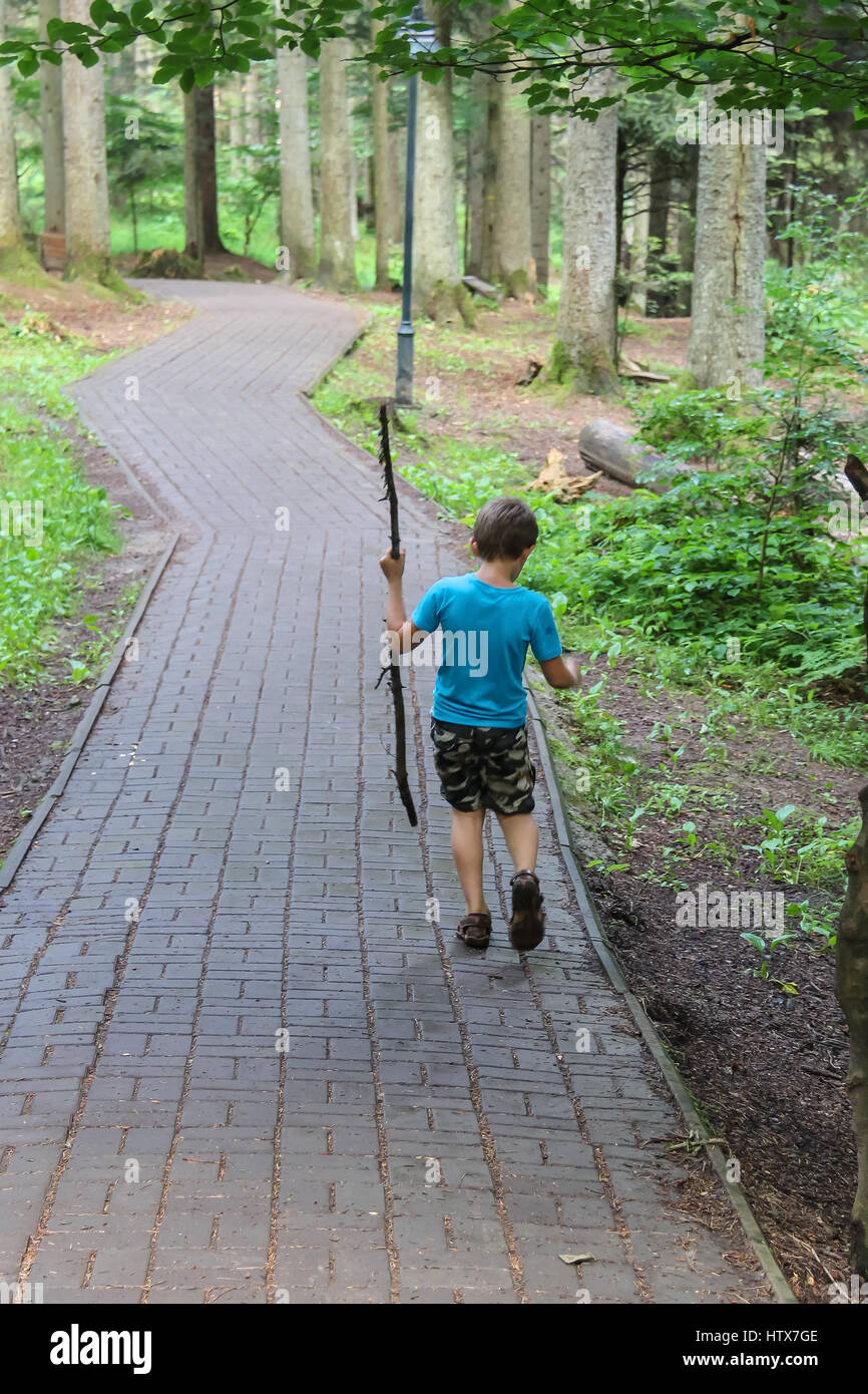 Ragazzo con un lungo bastone di legno in Forest park Foto Stock