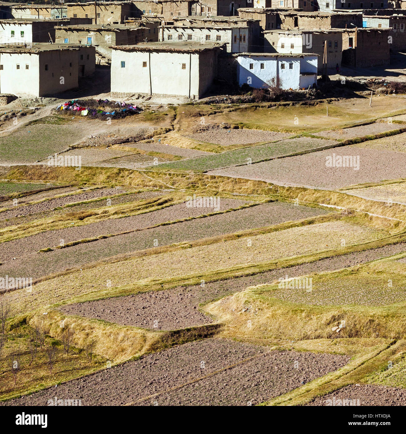 Agricoltura nel villaggio berbero, Marocco. Vista aerea di terreni agricoli . Foto Stock