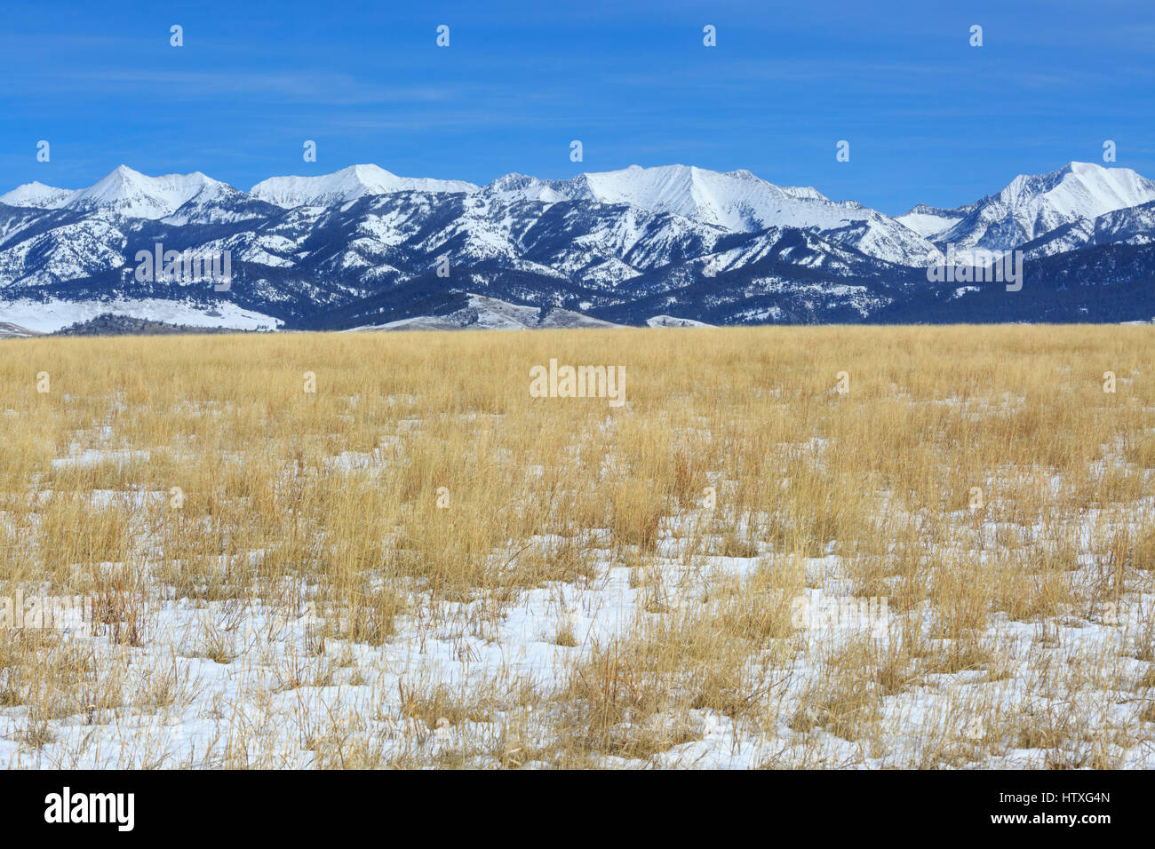 La prateria sotto il crazy montagne in inverno vicino wilsall, montana Foto Stock