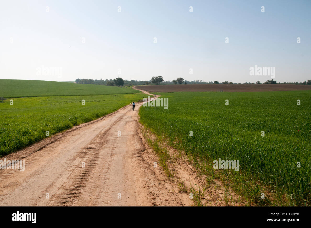 Una croce di svago del paese ciclista con indumenti di protezione. Fotografato nel deserto del Negev, Israele modello di rilascio disponibili Foto Stock