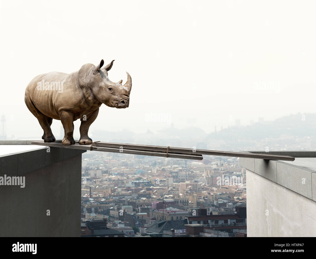 Rhino vuole camminare sulla trave di legno Concetto di pericolo Foto Stock