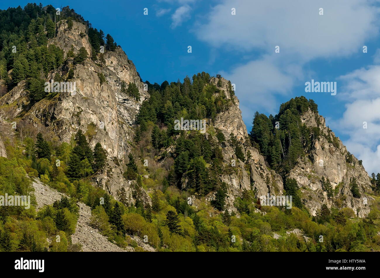 Cima della montagna ricoperta con alberi ad alto fusto, rock e la radura della montagna Rila, Bulgaria Foto Stock