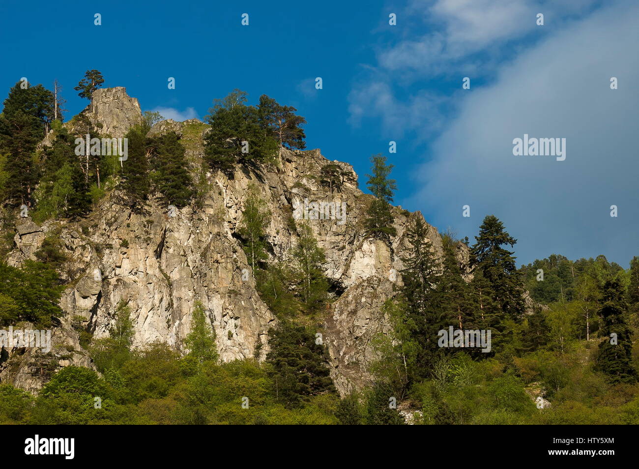 Cima della montagna ricoperta con alberi ad alto fusto, rock e la radura della montagna Rila, Bulgaria Foto Stock