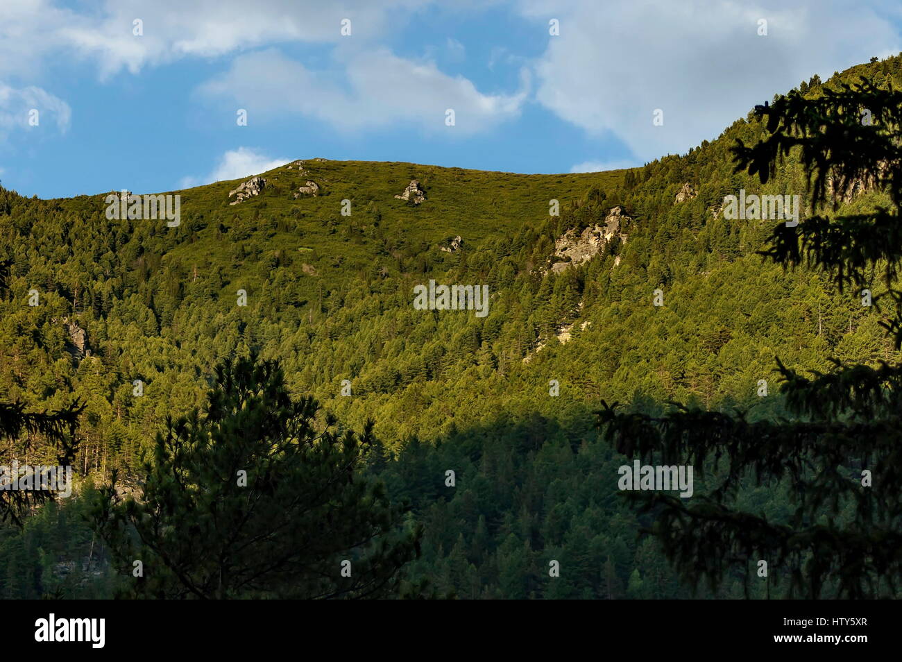 Cima della montagna ricoperta con alberi ad alto fusto, rock e la radura della montagna Rila, Bulgaria Foto Stock