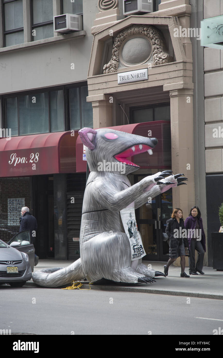 I sindacati condizionati gonfiabile e di ratto picket al di fuori di edifici per uffici che sono considerati exploitive per i dipendenti dell'edificio a Manhattan NYC. Foto Stock