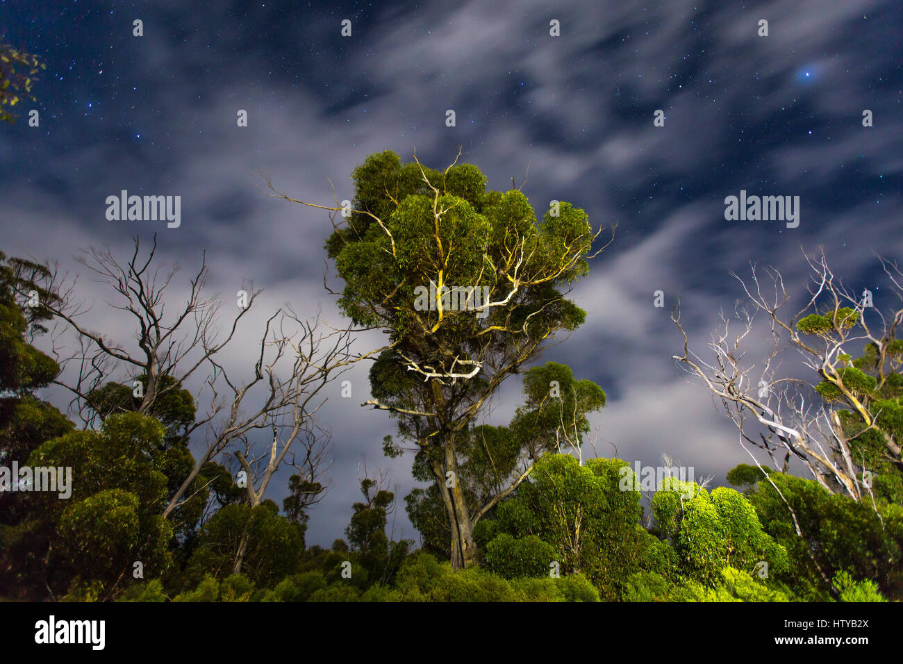 Laguna di serpente - Kangaroo Island, Sud Australia Foto Stock
