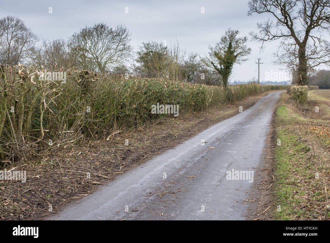 Norfolk vicolo del paese che mostra le siepi rifilato hard torna con un hedgecutter correggiato Foto Stock