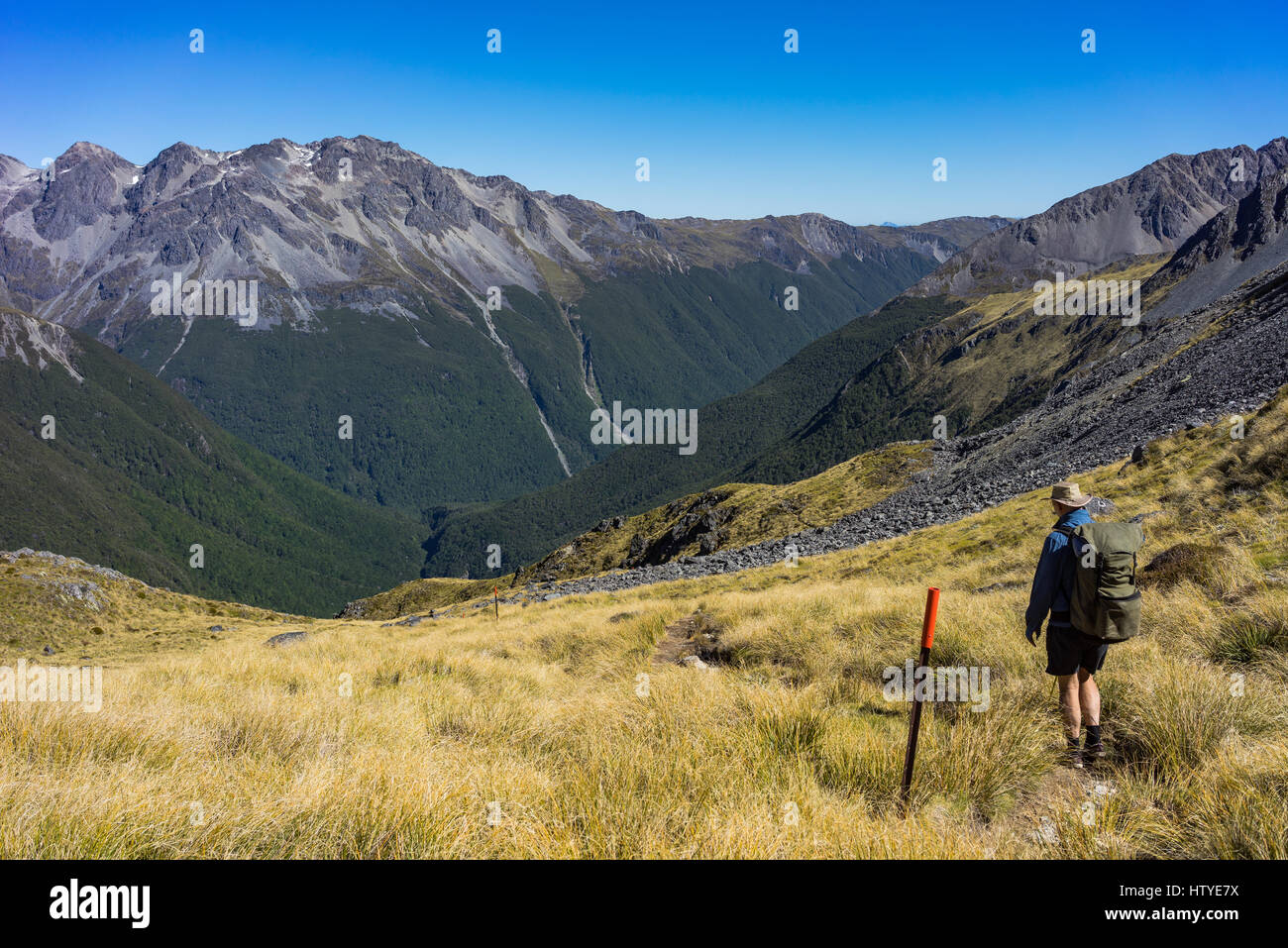 L'uomo escursionismo su Travers sella, Nelson Lakes, Parco Nazionale, Nuova Zelanda Foto Stock