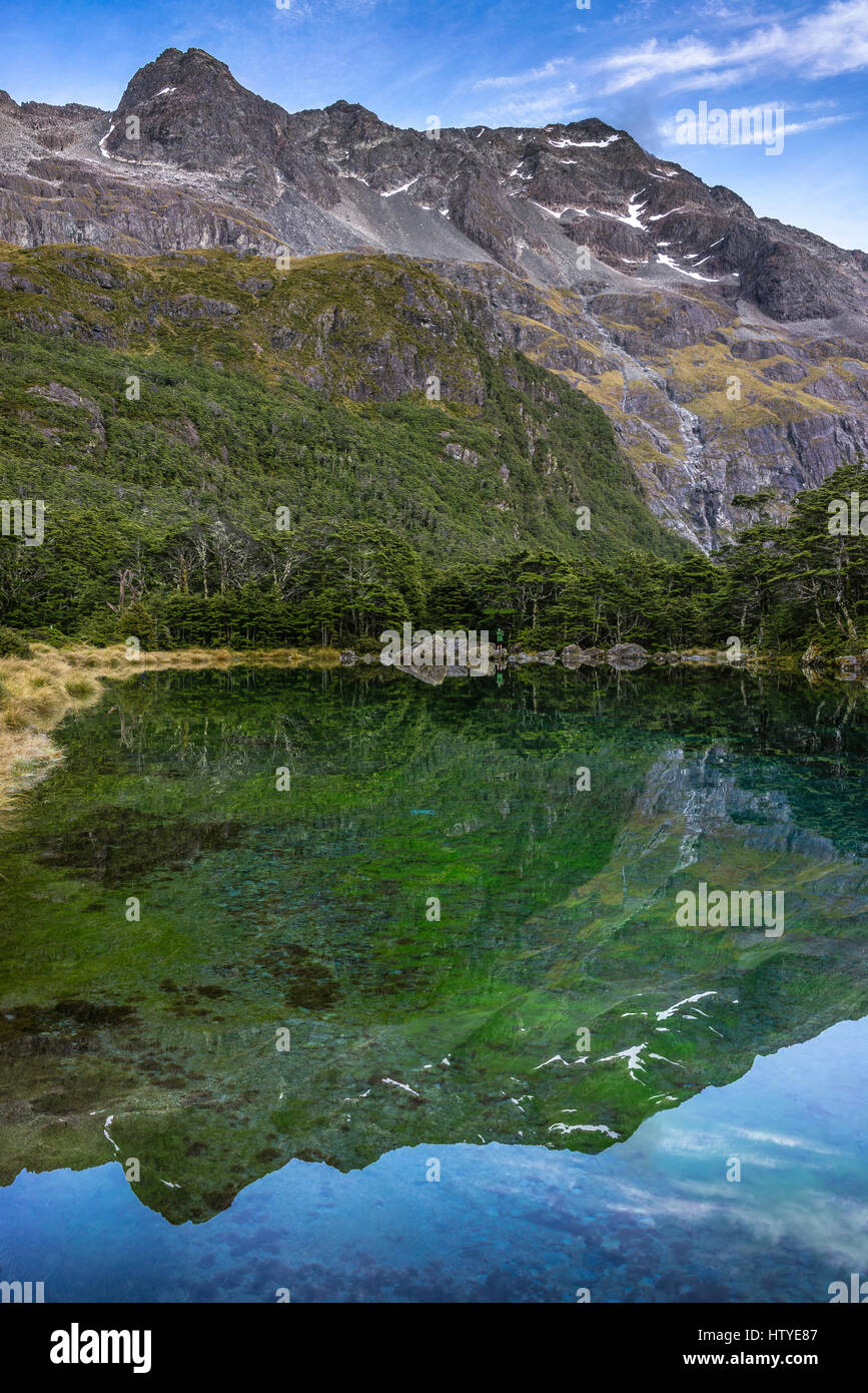 Lago Blu e gamma di Franklin, Nelson Lakes National Park, Nuova Zelanda Foto Stock
