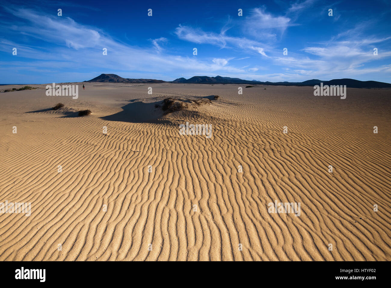 Le dune di sabbia e dune di Corralejo Parco Nazionale, Fuerteventura, Spagna Foto Stock