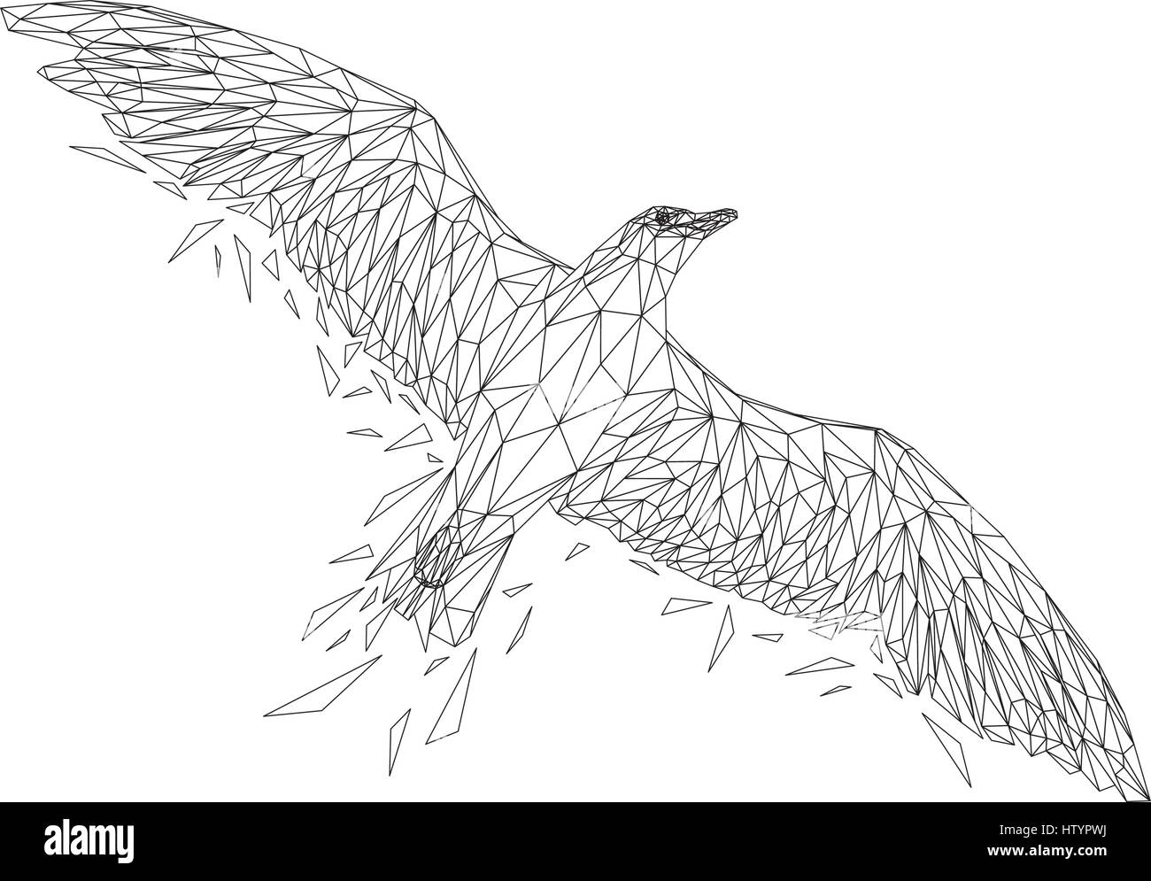 Seagull bassa animale poli design. Triangolo illustrazione vettoriale. Illustrazione Vettoriale