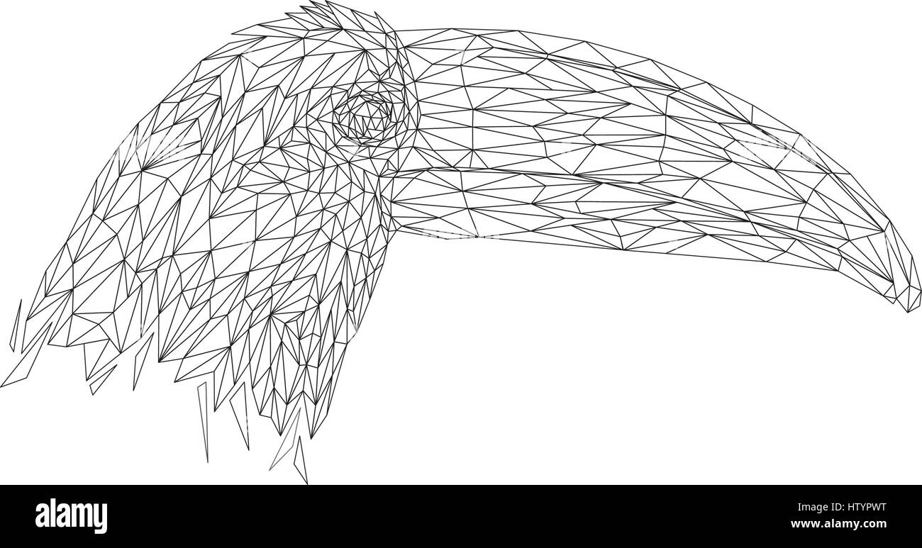 Toucan bassa animale poli design. Triangolo illustrazione vettoriale. Illustrazione Vettoriale