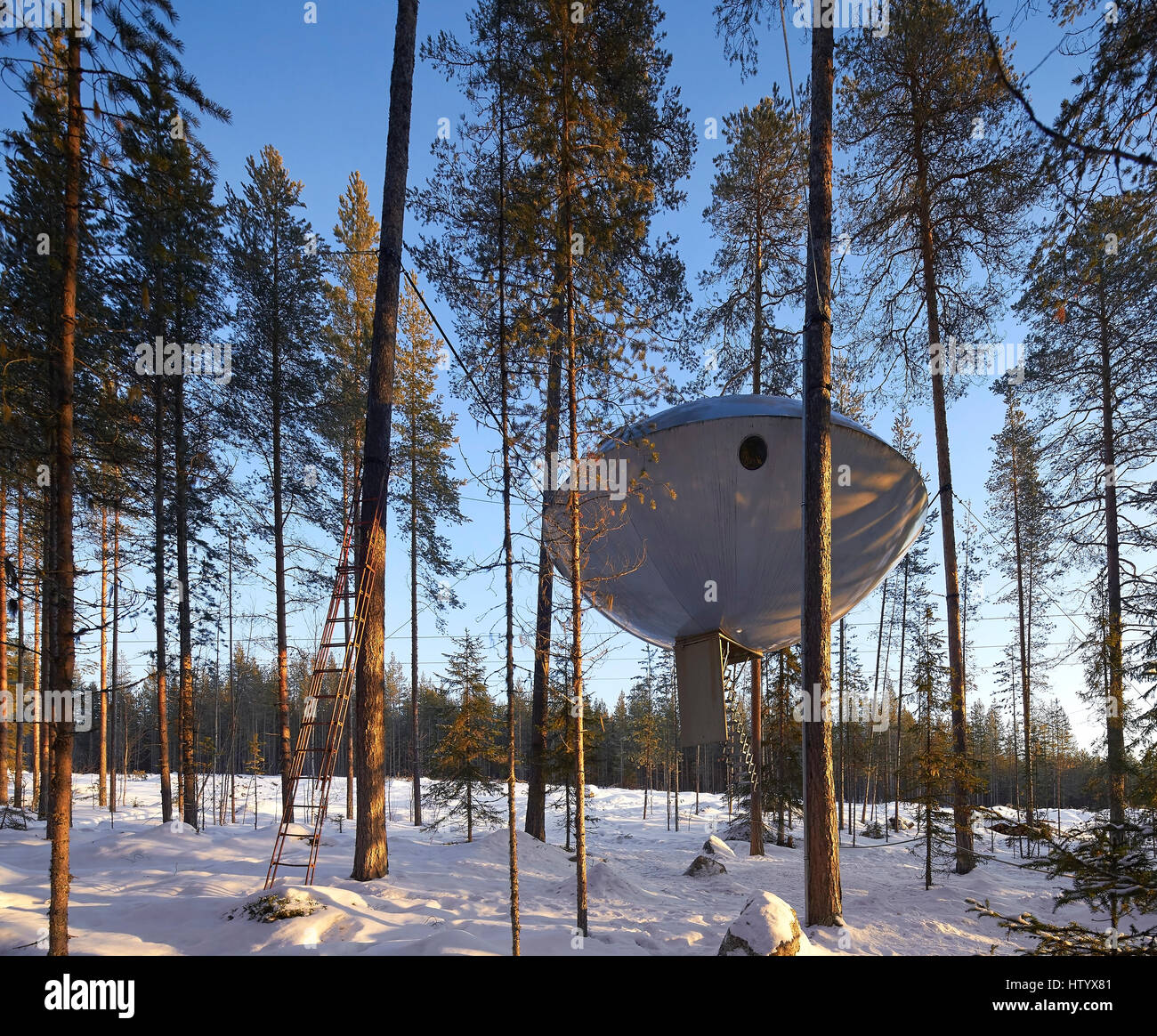 Il dsign UFO da Inredningsgruppen Bertil Harström. Treehotel, Harads, Svezia. Architetto: vari, 2016. Foto Stock