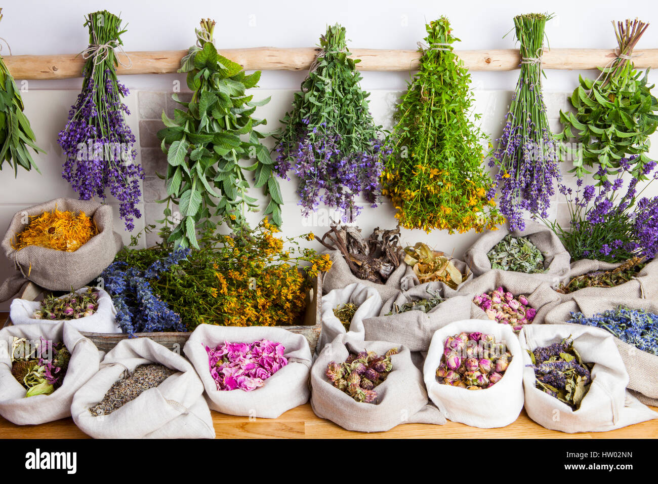 La guarigione di erbe mediche Foto Stock