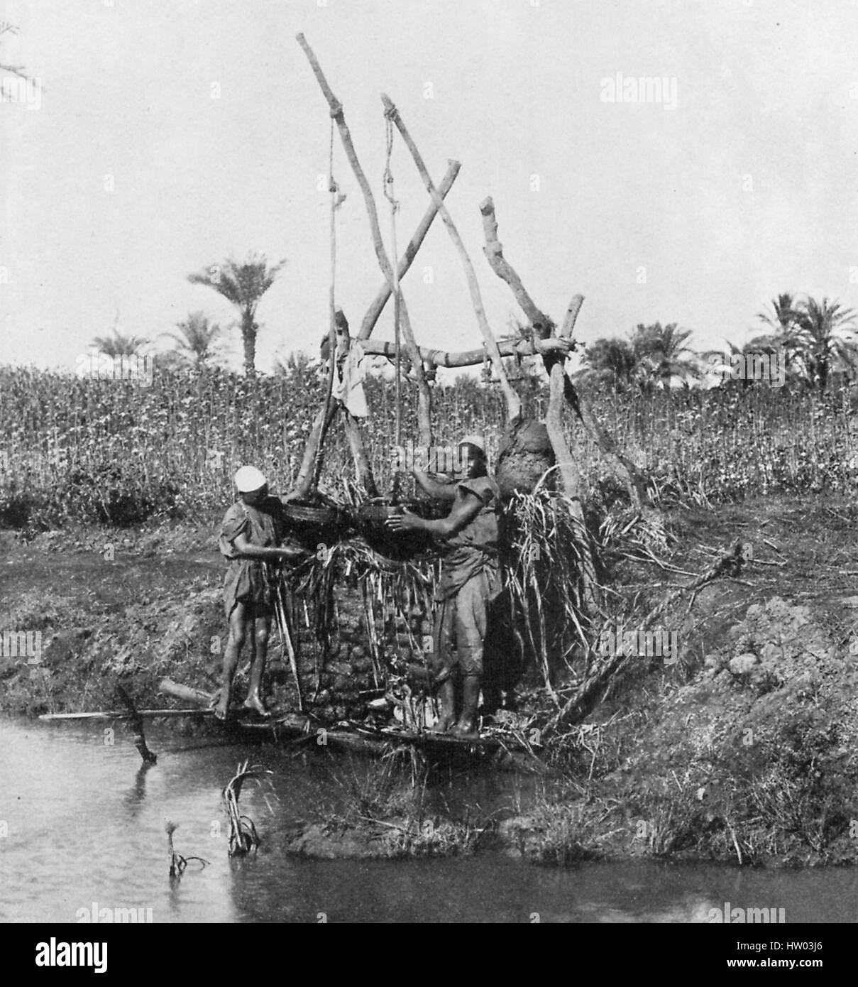 Lavoratori locali utilizzano un sistema di pulegge per il sollevamento acqua dal fiume Nilo utilizzando benne reed e contrappesi per irrigare un campo di fattoria, Egitto, 1922. Foto Stock