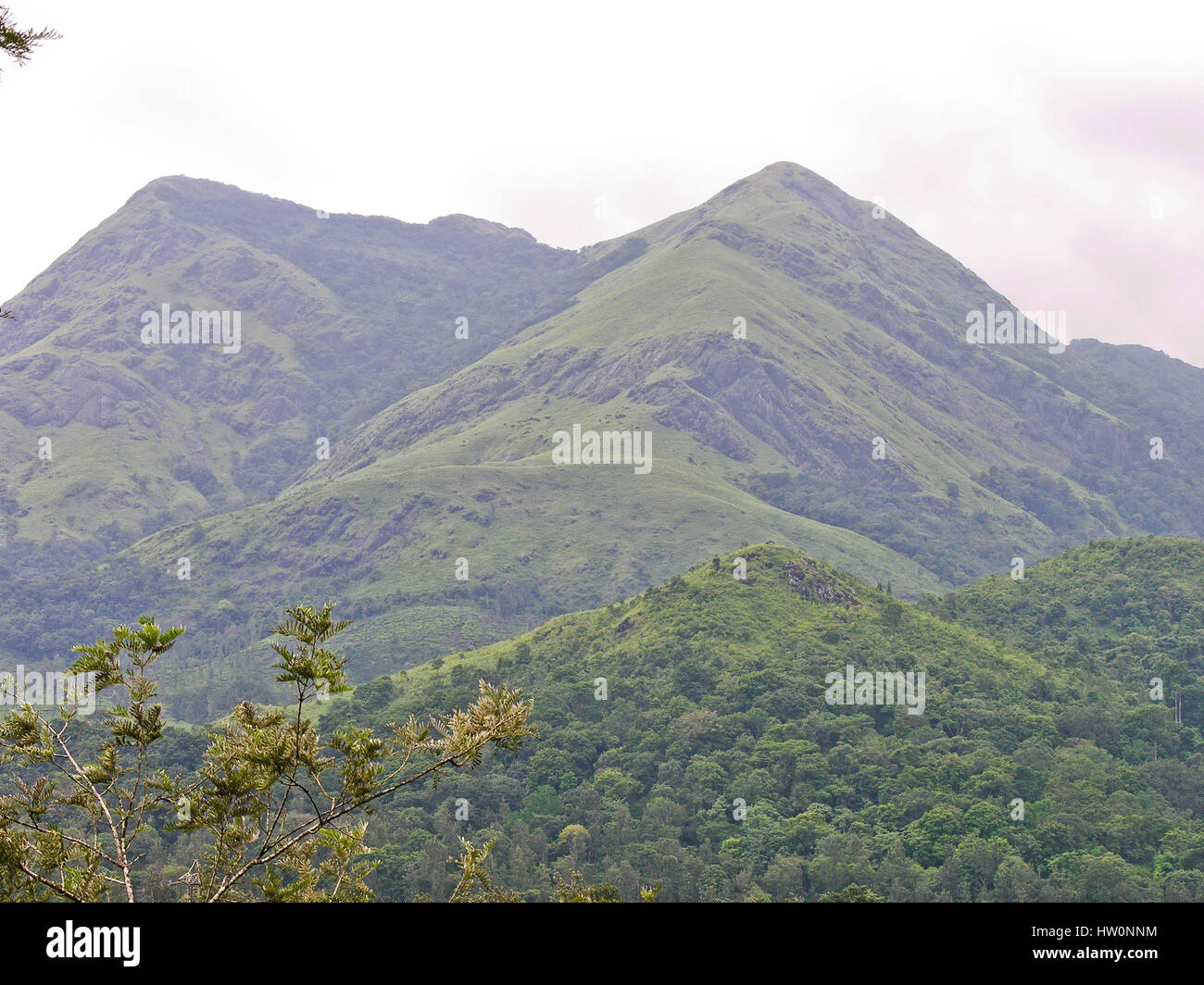 Bellissima vista del western ghat mountain range nel distretto di Wayanad, Kerala (Dio il proprio paese), India Foto Stock