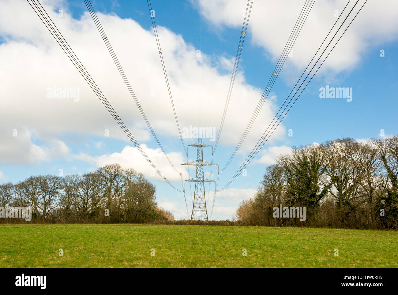 Rete nazionale di linee di alimentazione tagliato attraverso la struttura ad albero e su tutta la campagna in Hampshire, Regno Unito. Foto Stock