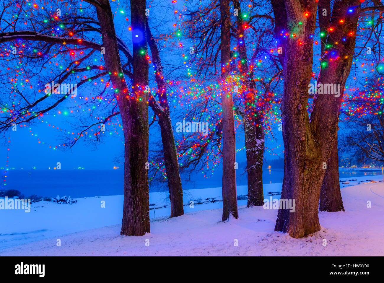 Elm Grove Christmas Lights, English Bay, Vancouver, in inverno, British Columbia, Canada. Foto Stock