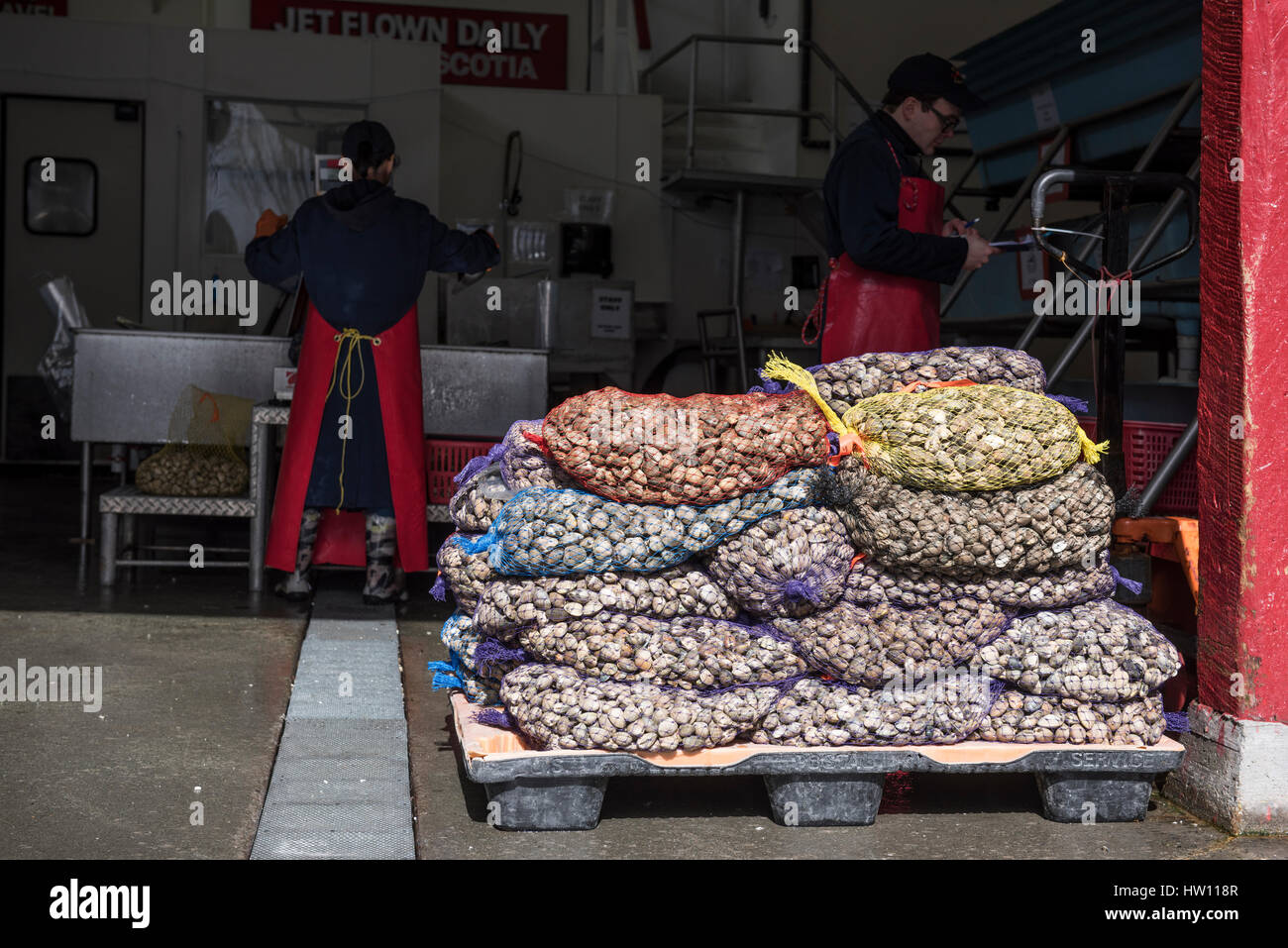 Vongole in sacchi reticolare seduto su un pallet, in corrispondenza di una uscita di frutti di mare, sull'Isola di Granville, Vancouver. Foto Stock