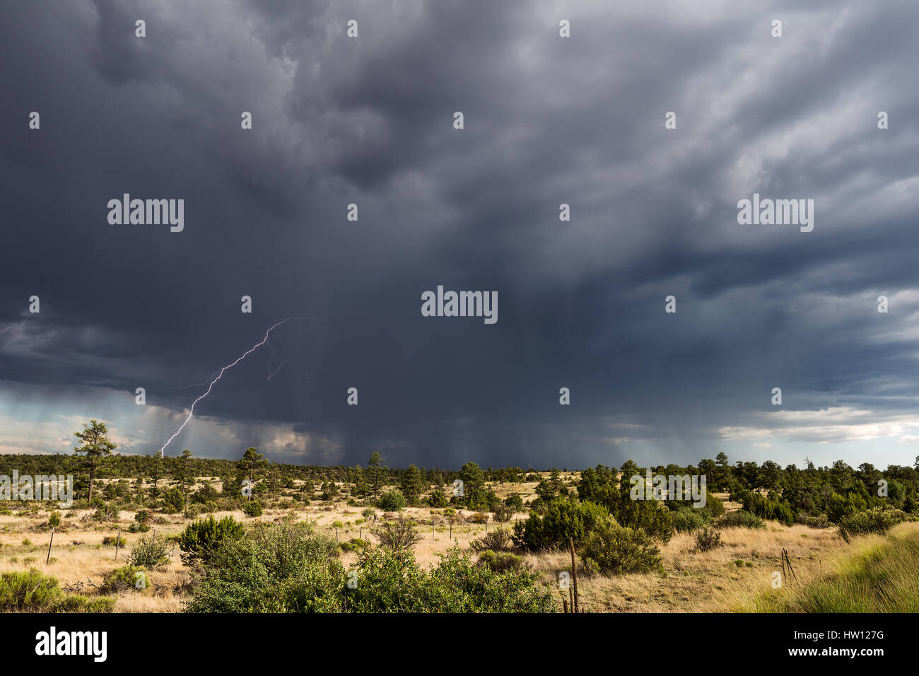 Tempesta di tuoni e fulmine nei pressi di Pine, Arizona Foto Stock