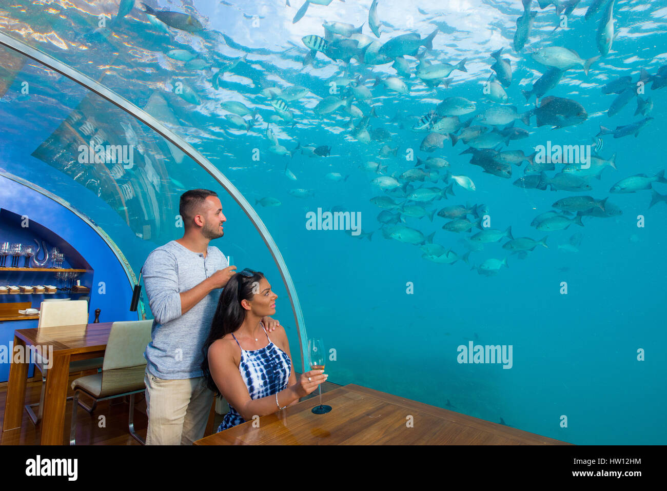 Maldive Rangali Island. Conrad Hilton Resort. Coppia al sottomarino Ithaa restaurant. (MR) Foto Stock