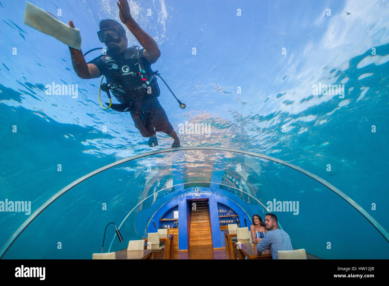 Maldive Rangali Island. Conrad Hilton Resort. Ithaa il ristorante sottomarino. Scuba Diver ristorante di pulitura di Windows. (MR) Foto Stock