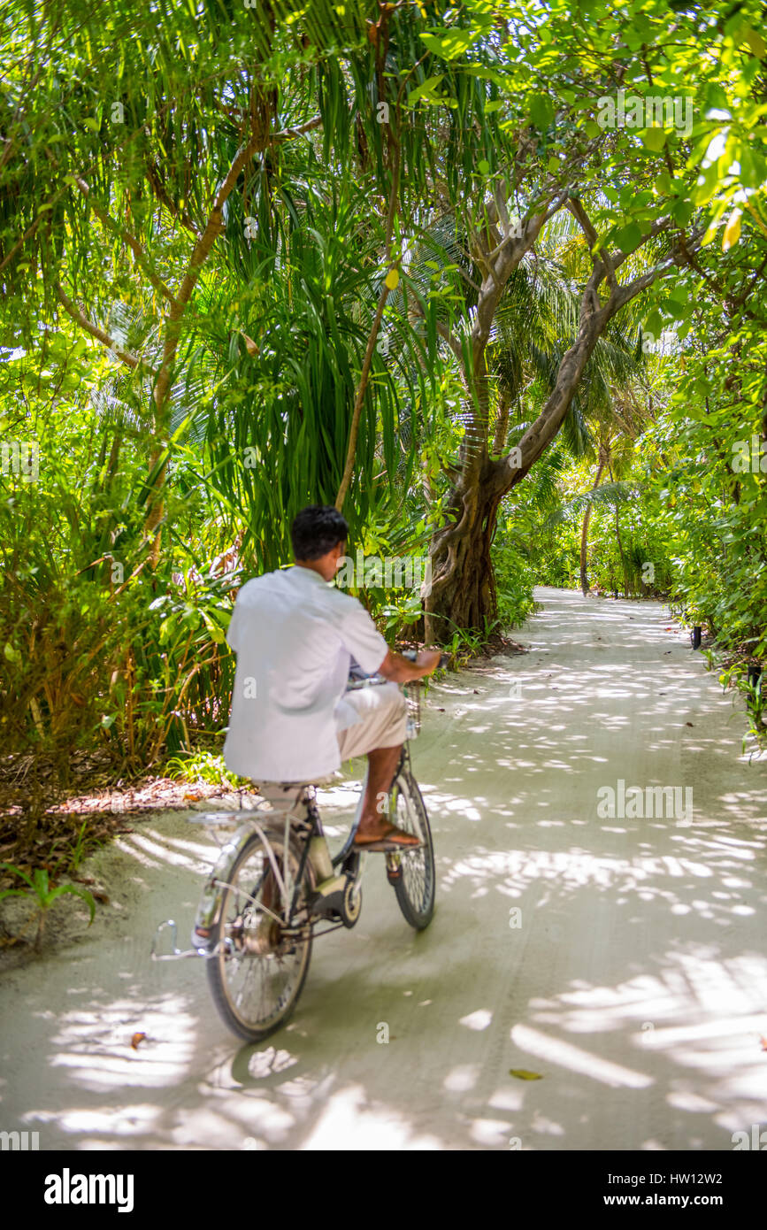 Maldive Rangali Island. Conrad Hilton Resort. Uomo in bicicletta sul percorso. Foto Stock