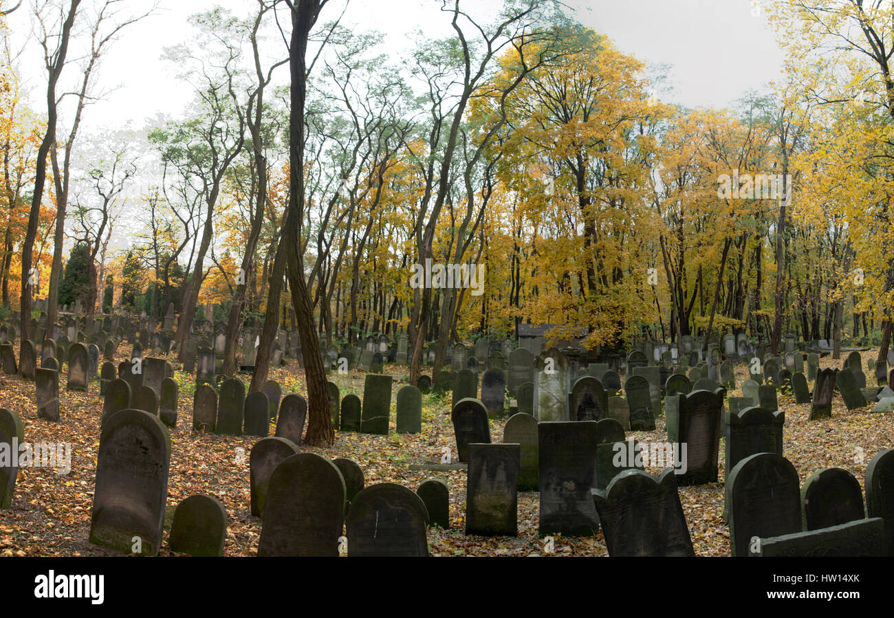 Cimitero ebraico di Varsavia - Okopowa str. Foto Stock