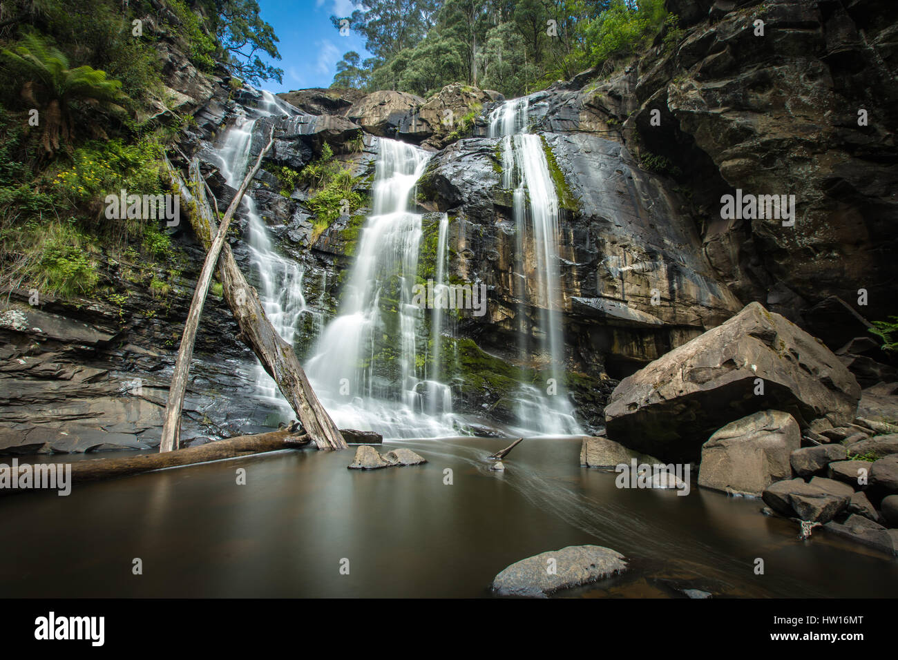 Stevensons Falls - Grande Ottway National Park, Victoria Foto Stock