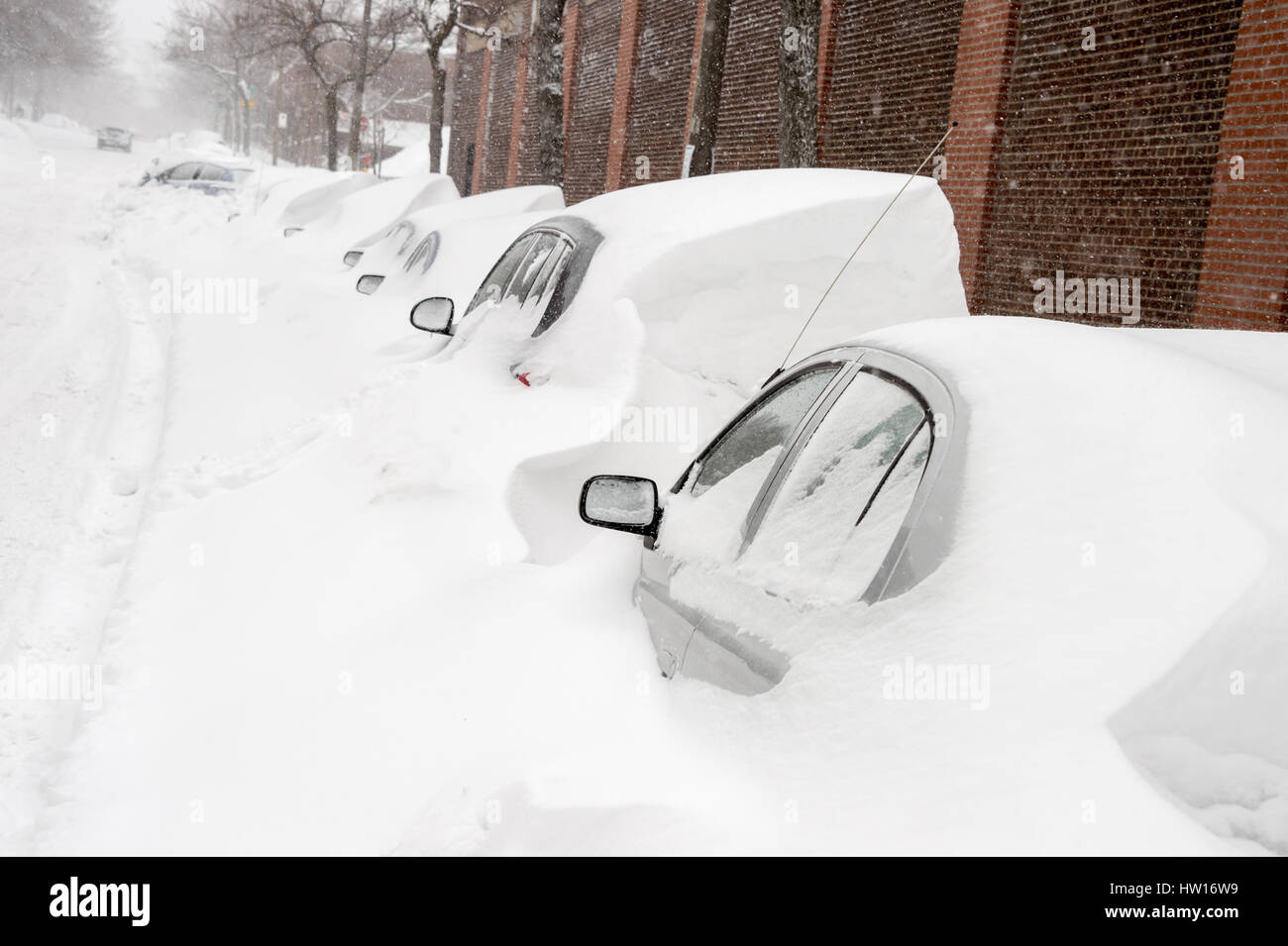 Montreal, CA - 15 Marzo 2017: potente tempesta di neve Stella di libbre di Montreal e foglie fino a 60 cm di neve. Foto Stock