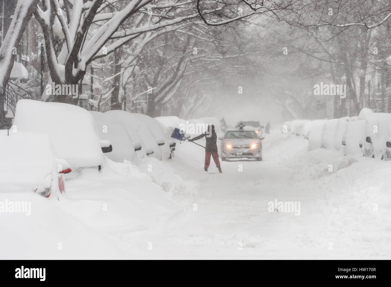 Montreal, CA - 15 Marzo 2017: potente tempesta di neve Stella di libbre di Montreal e foglie fino a 60 cm di neve. Foto Stock