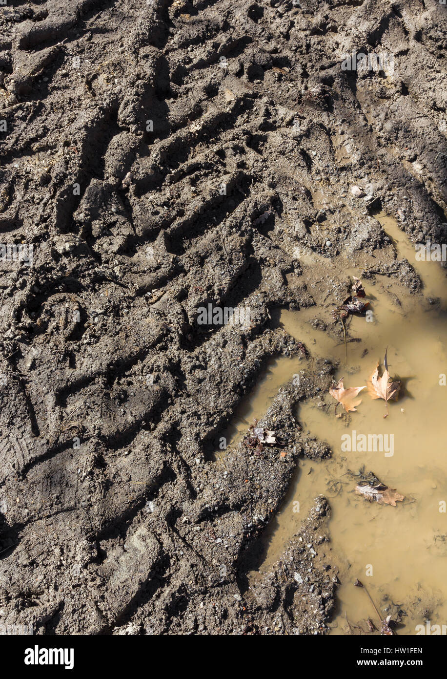 Tracce di pneumatici nel fango. Texture di bagnato fango marrone con auto  tracce di pneumatici Foto stock - Alamy