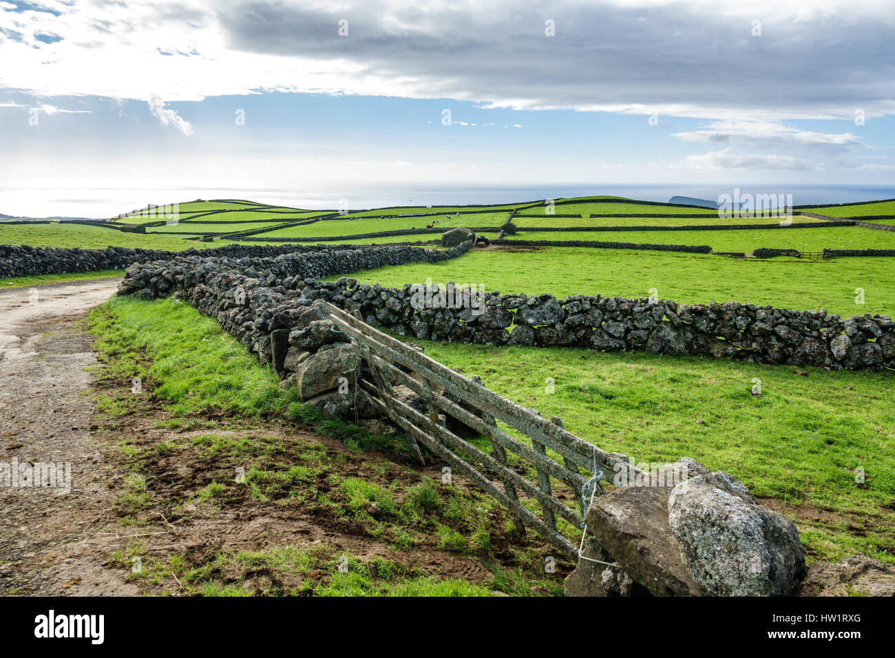 I campi agricoli nell'isola di Terceira nelle Azzorre con il trasporto su strada Foto Stock