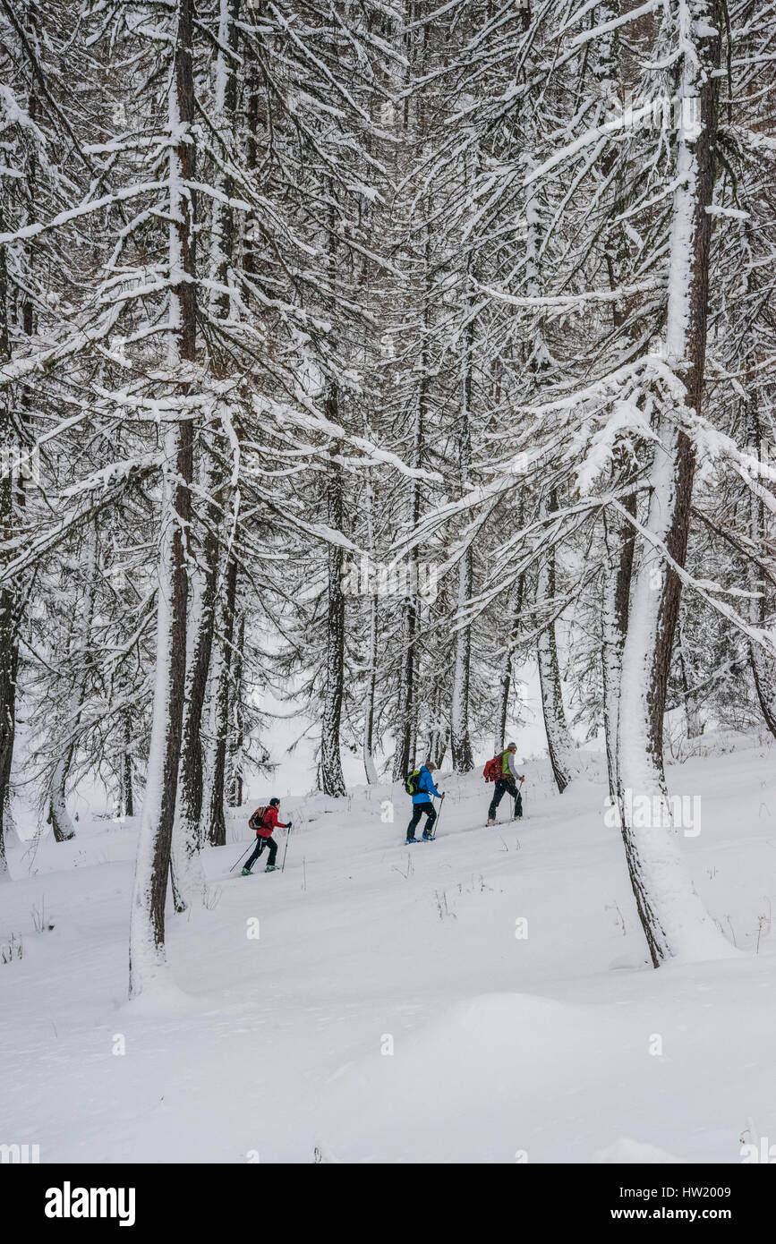 Con le racchette da neve gruppi esplorare le montagne del Villgratental in Ost Tirol Austria vicino alla South Tirol confine con Italia Foto Stock