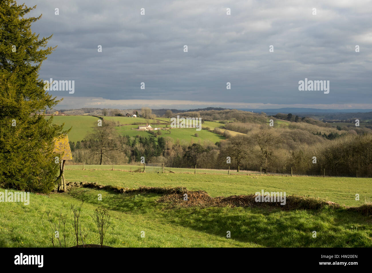 Herefordshire campagna su un inizio primavera pomeriggio Foto Stock