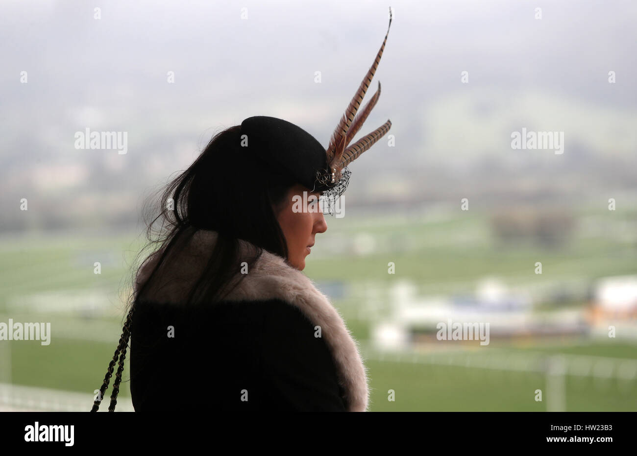 Una racegoista femminile durante il giovedì di San Patrizio del Cheltenham Festival 2017 all'ippodromo di Cheltenham. PREMERE ASSOCIAZIONE foto. Data immagine: Giovedì 16 marzo 2017. Guarda la storia della PA DI CHELTENHAM. Il credito fotografico dovrebbe essere: David Davies/PA Wire. Foto Stock