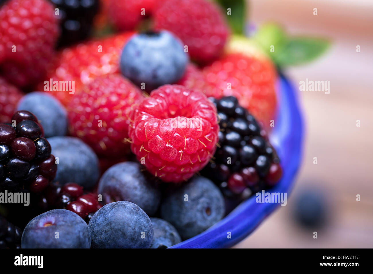 Vista ingrandita di frutta estiva in un Blu-bordati di coppa in ceramica, con mirtilli, fragole, lamponi e more. Foto Stock