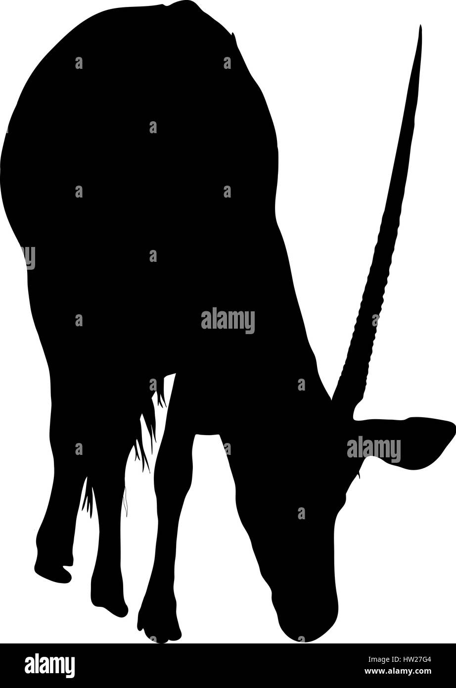 Silhouette di un gemsbok in cerca di cibo Illustrazione Vettoriale