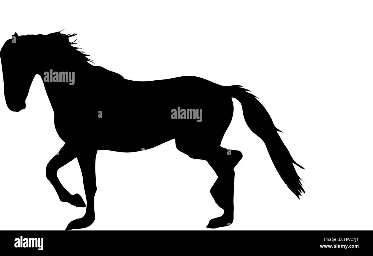 Silhouette di un deserto garub cavallo selvaggio Illustrazione Vettoriale