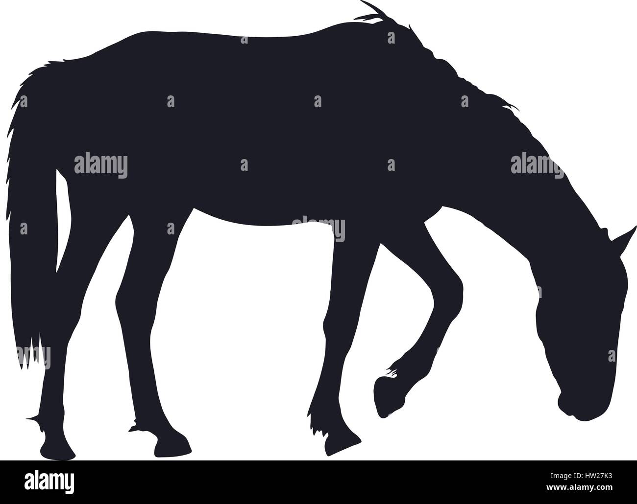 Silhouette di un deserto garub cavallo selvaggio Illustrazione Vettoriale