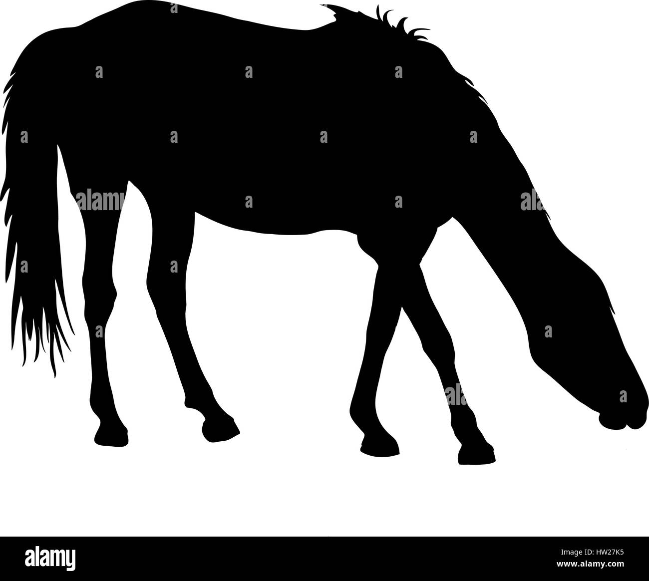 Silhouette di un deserto garub cavallo selvaggio Illustrazione Vettoriale