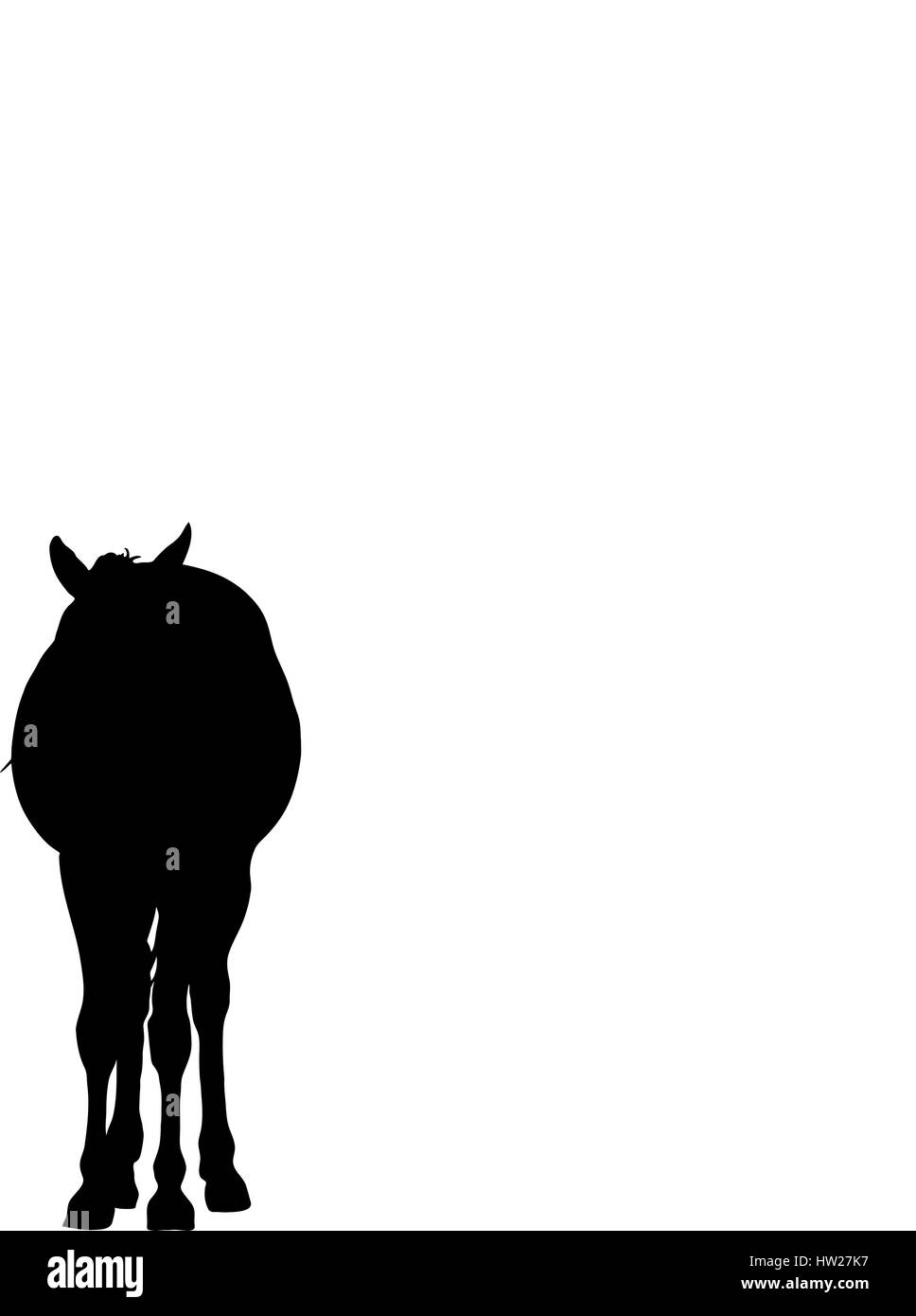 Silhouette di un deserto garub cavallo selvaggio Illustrazione Vettoriale