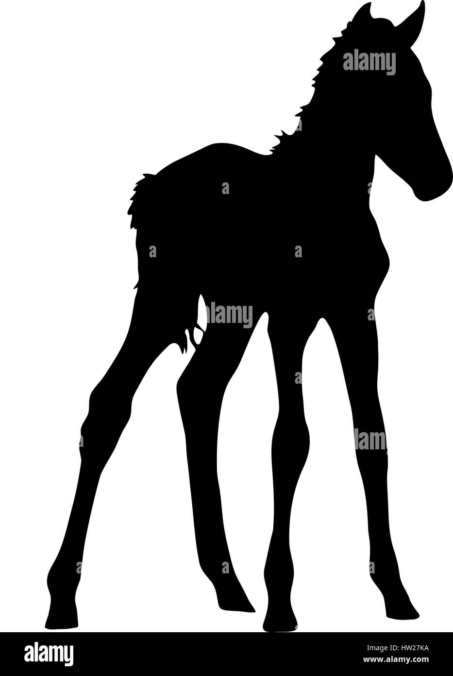 Silhouette di un deserto garub Wild Horse gattino Illustrazione Vettoriale