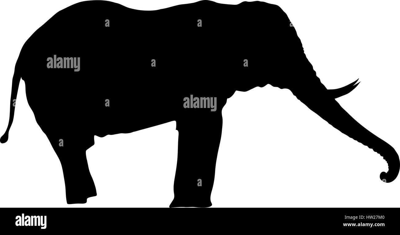 Silhouette di un elefante, piedi, vista laterale, trunk fino Illustrazione Vettoriale